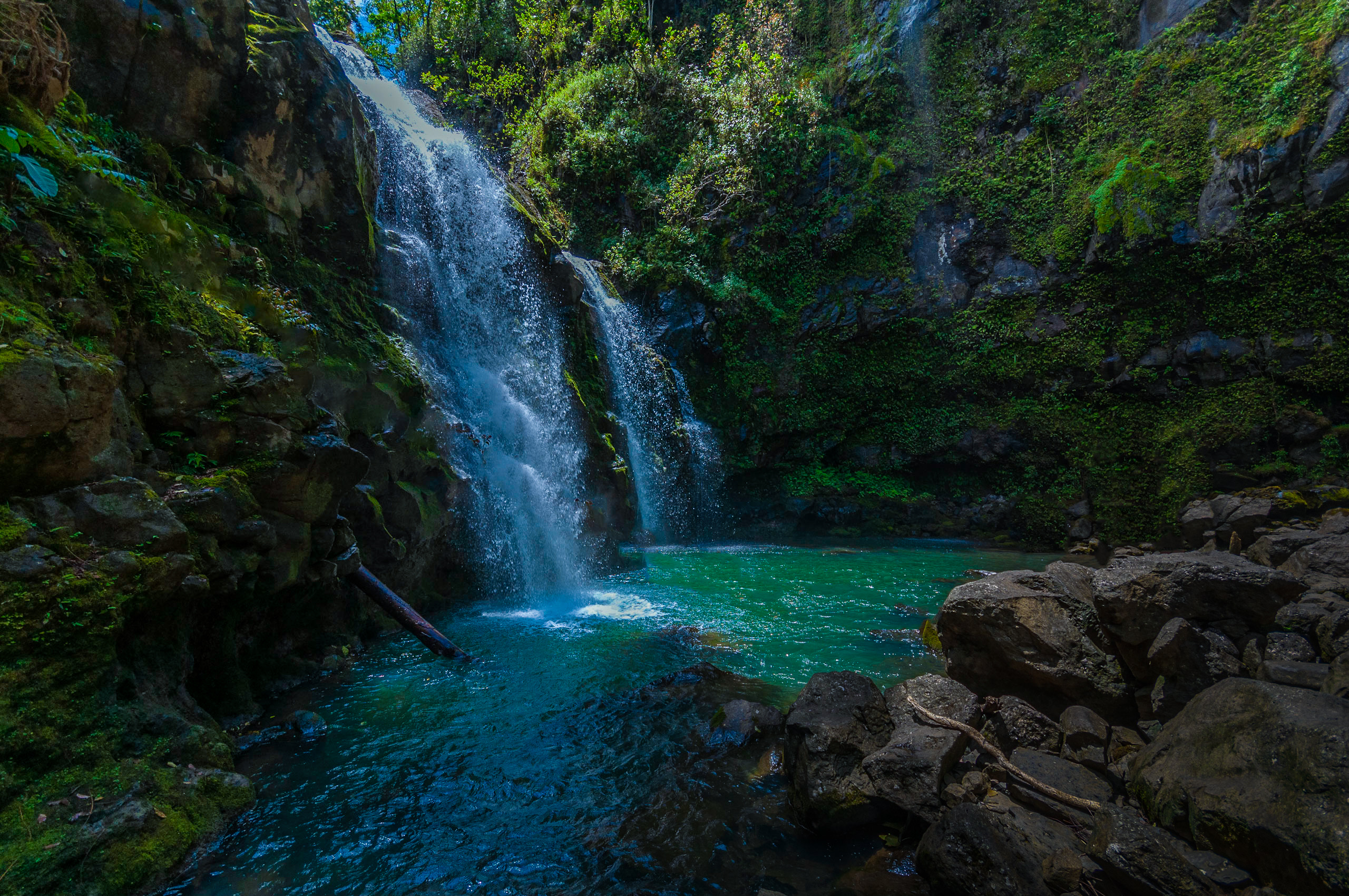 _DSC6137-Edit
